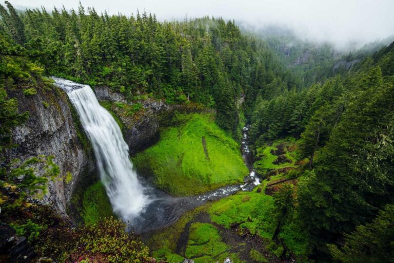 A tall waterfall cascades into a green valley surrounded by dense pine forest under a misty sky.